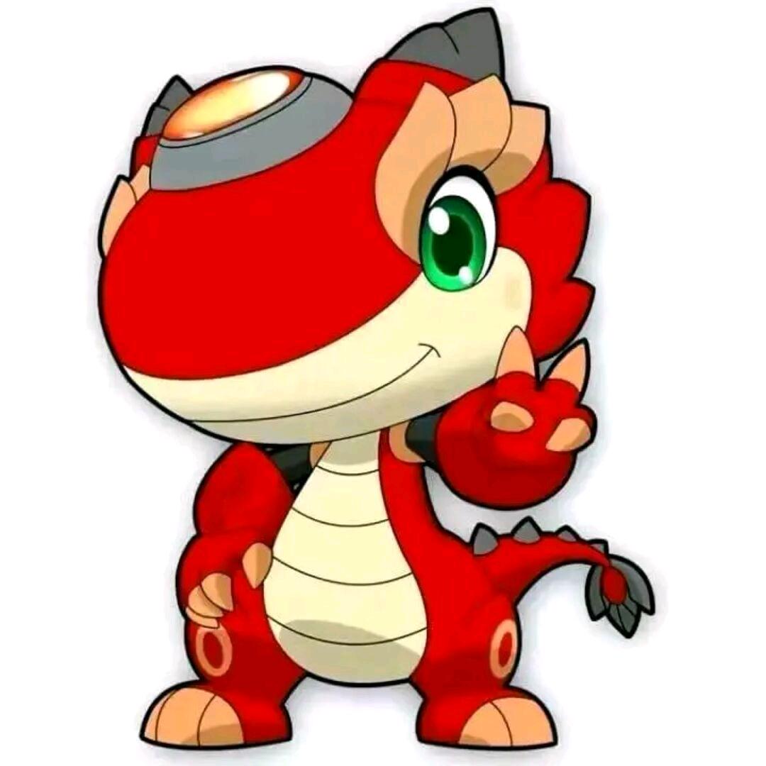 废、寝、忘、食