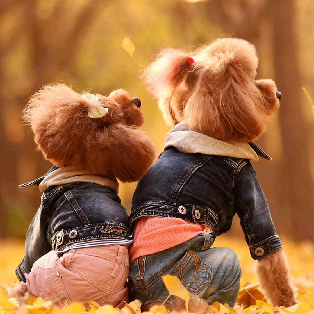 💋九度北爱💕💕