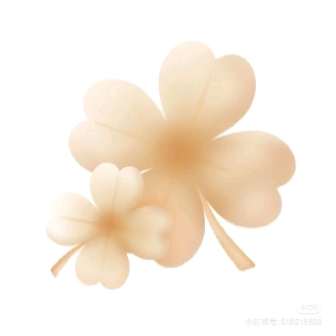 菡晴贝比