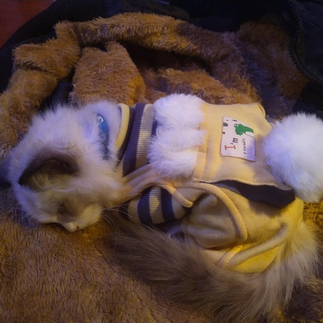 ꧁༺ૢ路人༒而已༻꧂