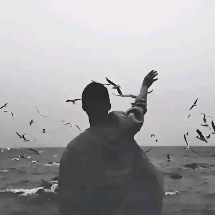 鲁班七号房的礼物🎁