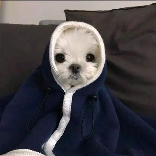 神一般的瞄准#46792