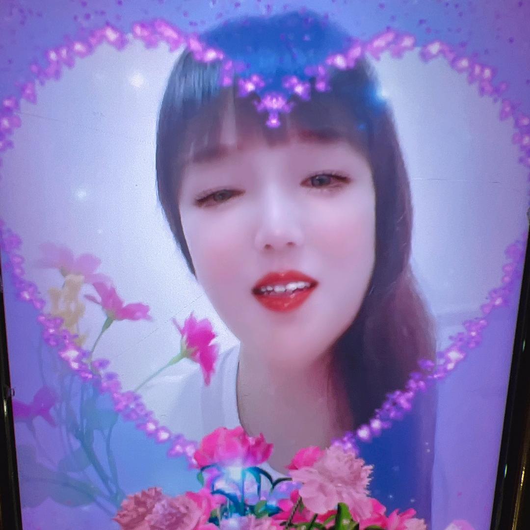 美丽燕子