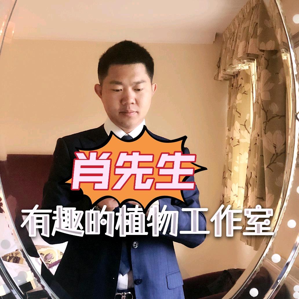 肖先生农业杂谈