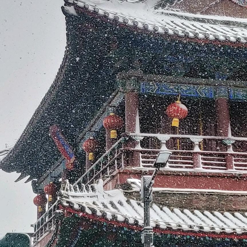 捕蛇🐍的小白菜