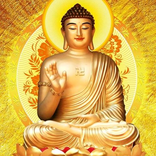 金沙