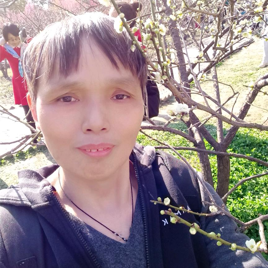 🍀青橄榄 🌴🐵