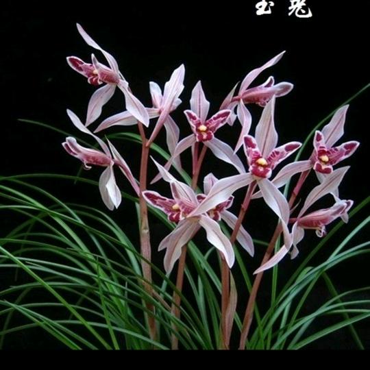 阳光总在风雨后