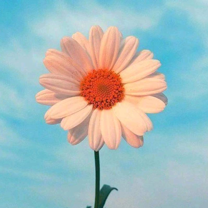 轩辕空