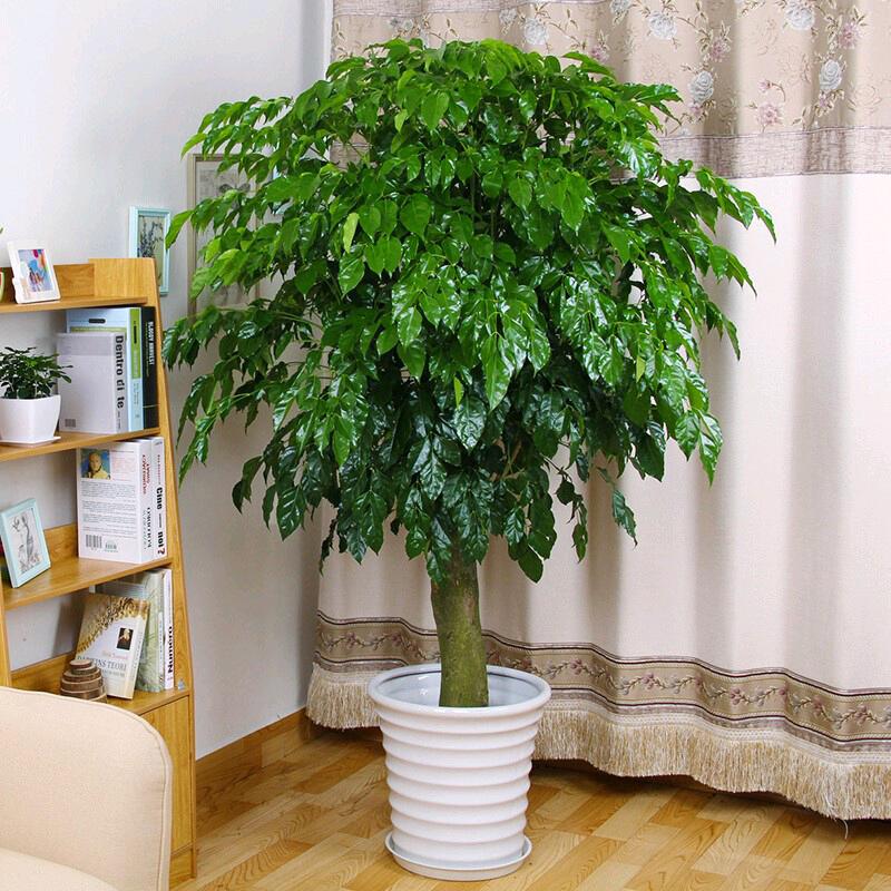 GOODYEAR固特异润滑油汇鑫汽车维修