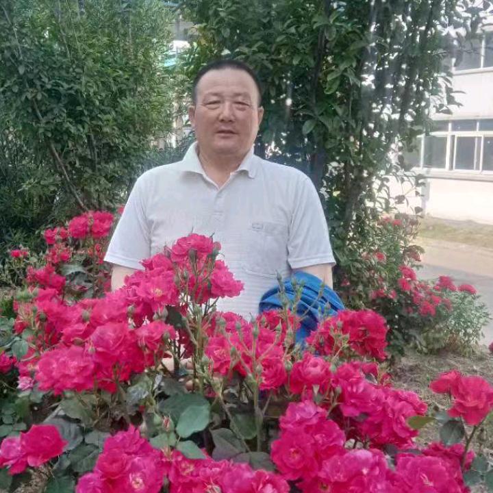 明天太阳