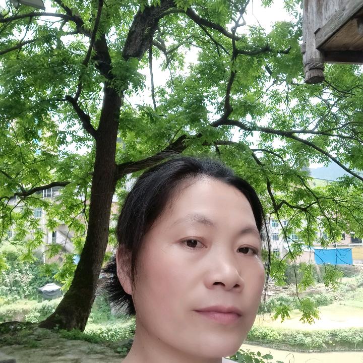 龙二哥
