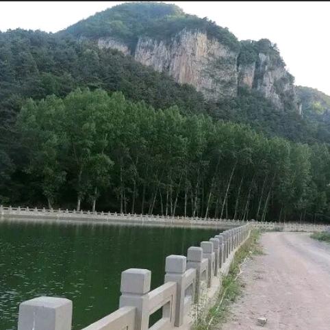 煤晓美钟