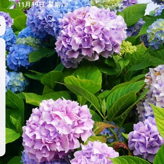 耀族生鲜(宁波仓)江北