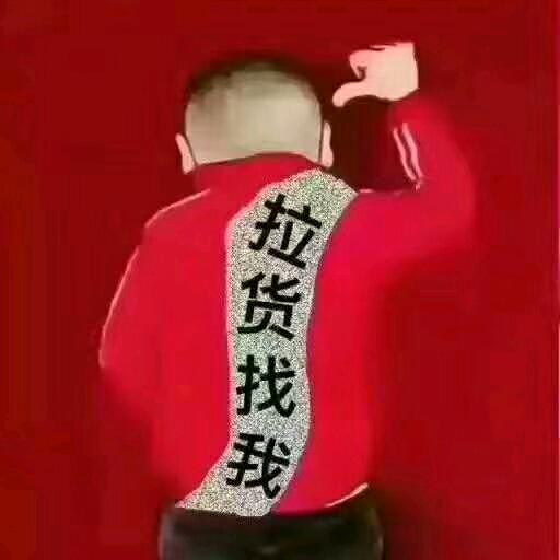 王辉【城市搬运工】