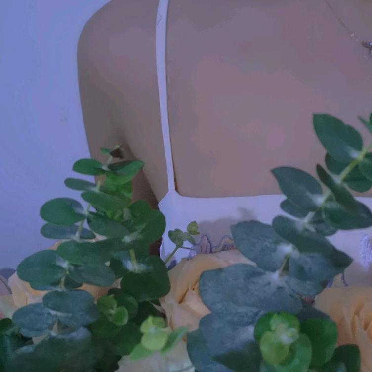 星星a
