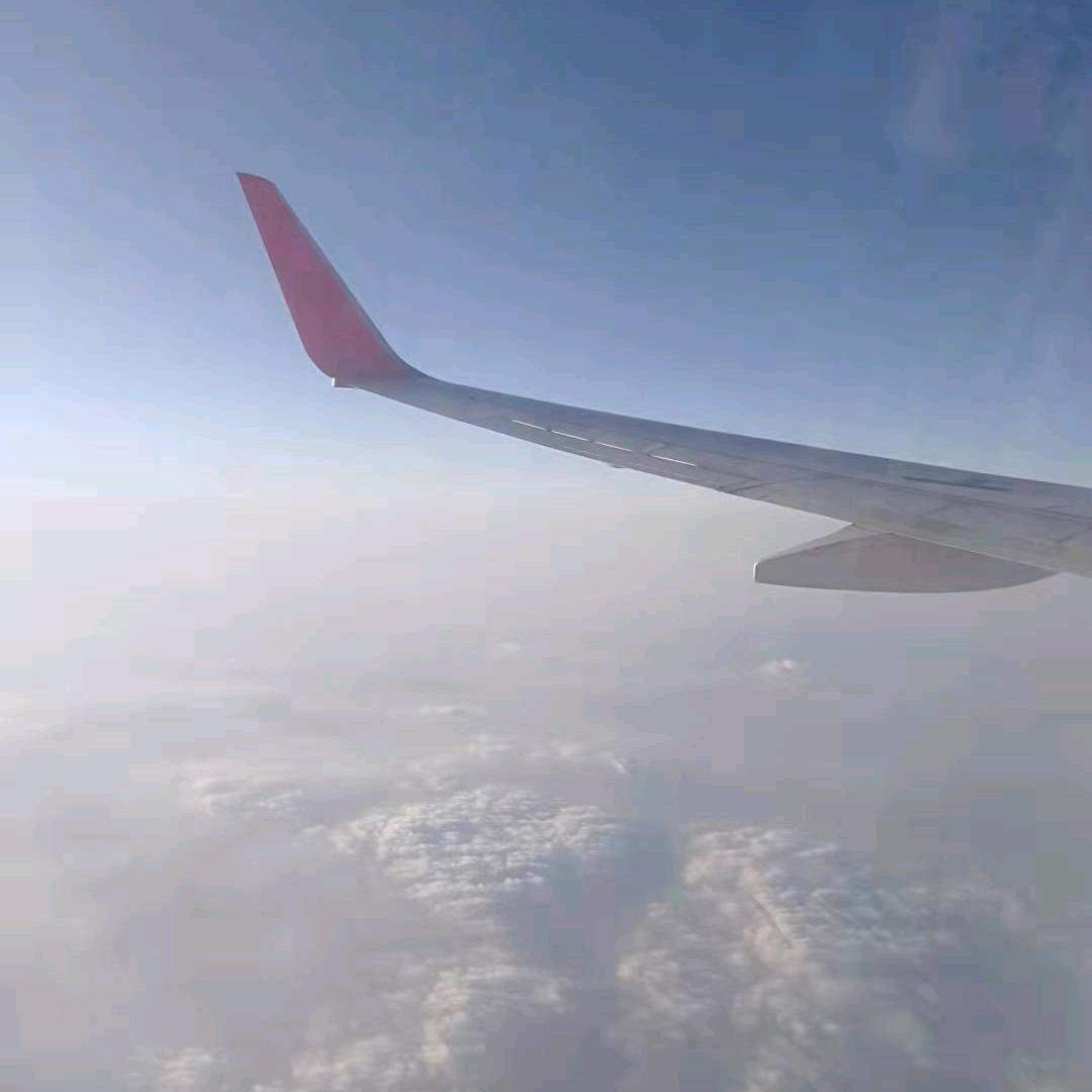 伊可菲尔一高端女装