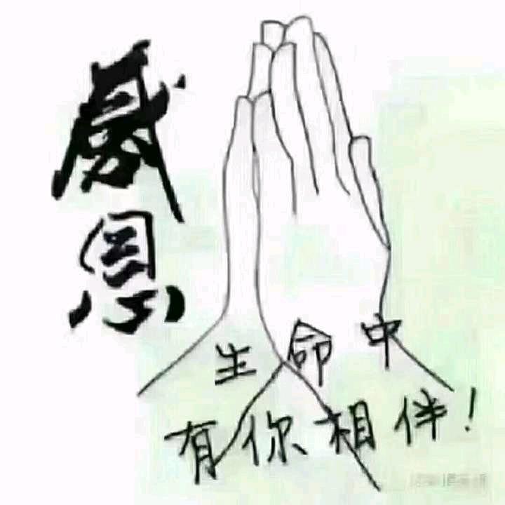 余生安好🙏