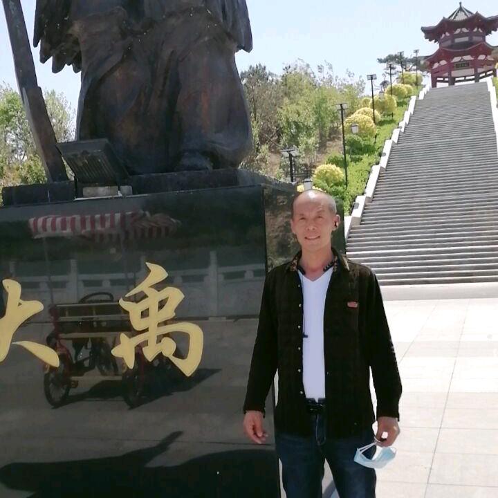 苍鹰