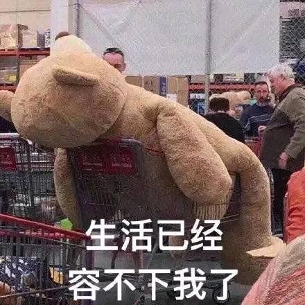 萤火📷