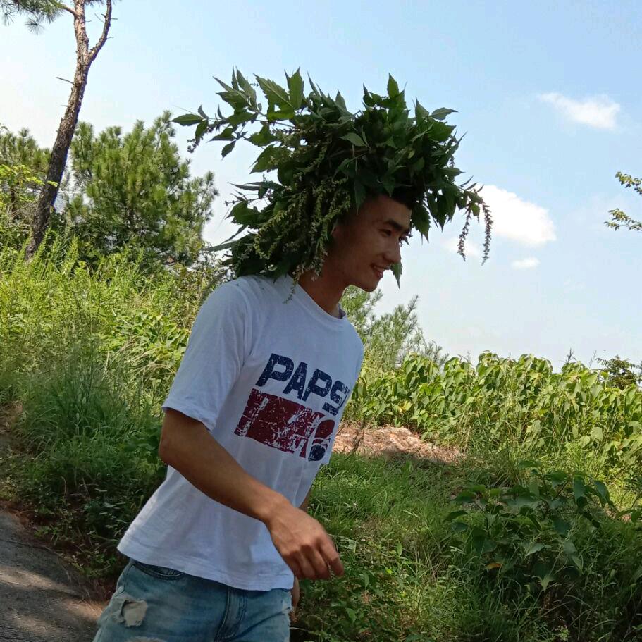 找蜂达人 梁哥