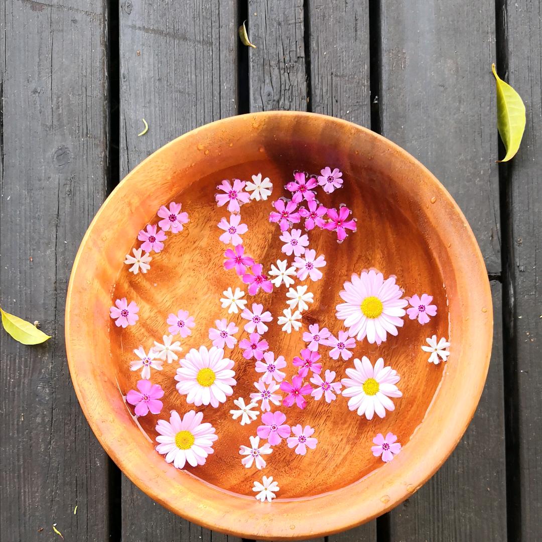 🗻归来仍是少年