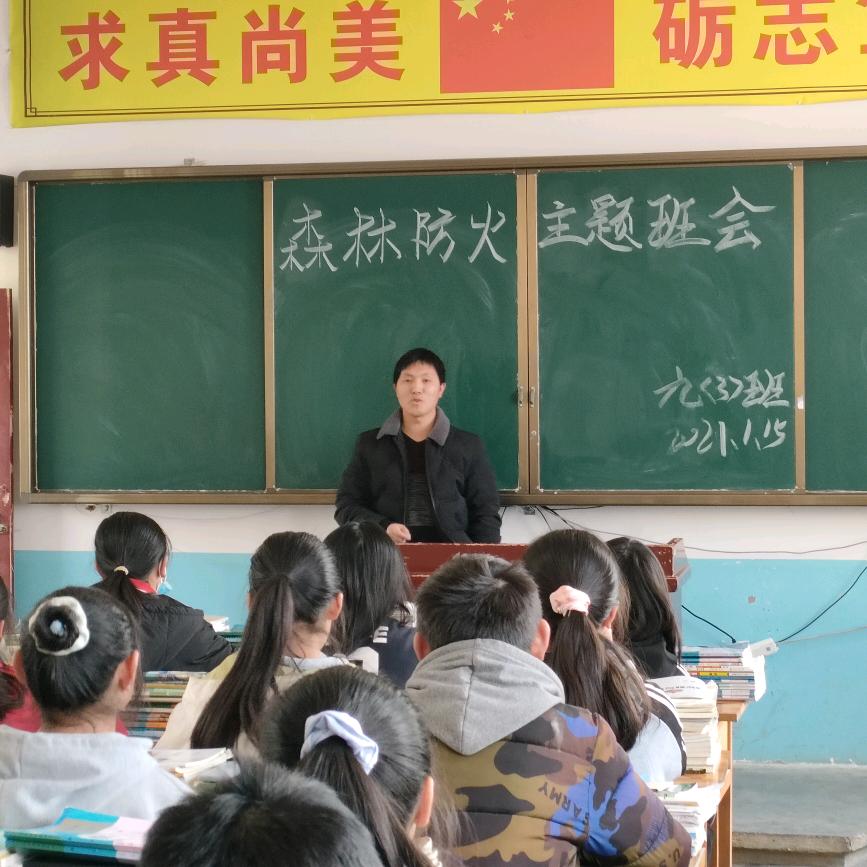 王理华