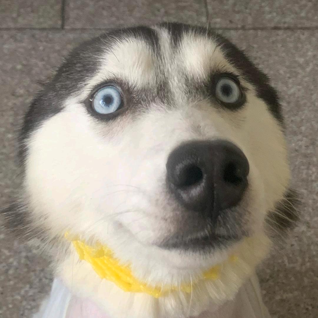 磊🥱