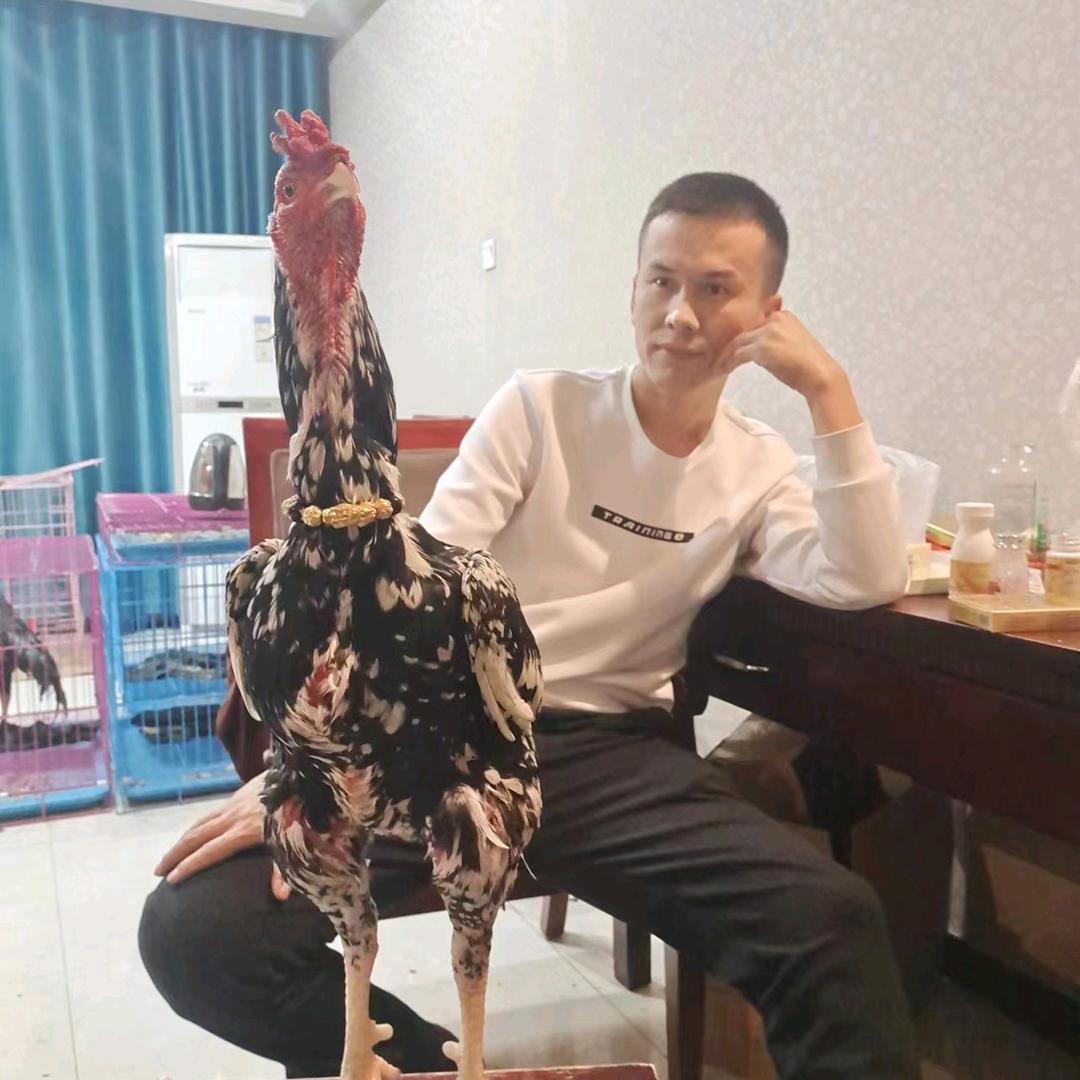@男子汉@