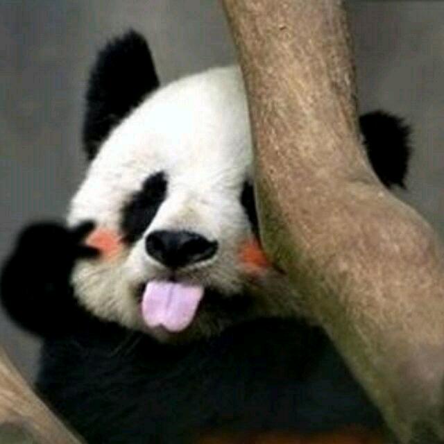 叫啥都无所谓