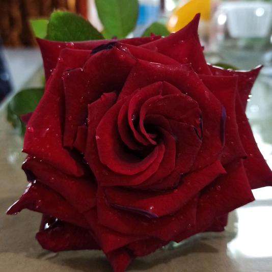 人间四月天❤️