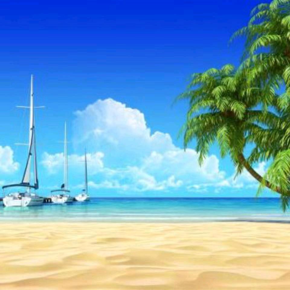 才哥666      （大海）