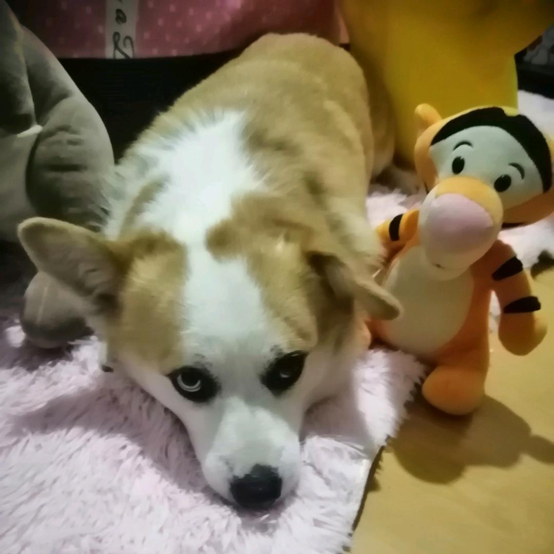 a一丝微笑