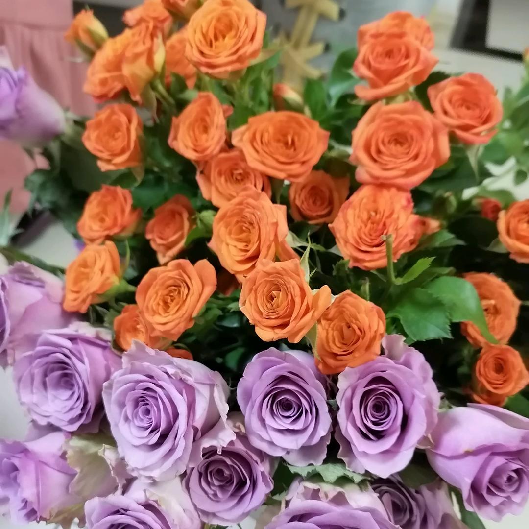 好运莲莲