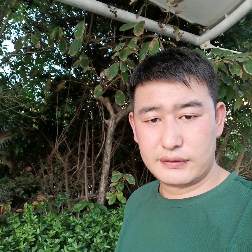 小白杨