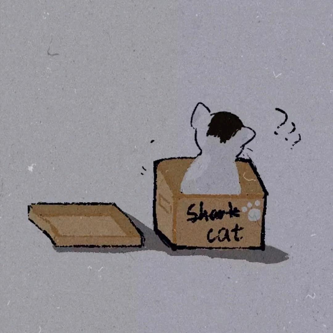 青春芝士雪豹不会遇见垫子严藏话丁真