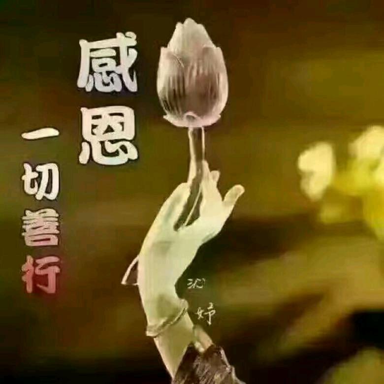 洗心垢