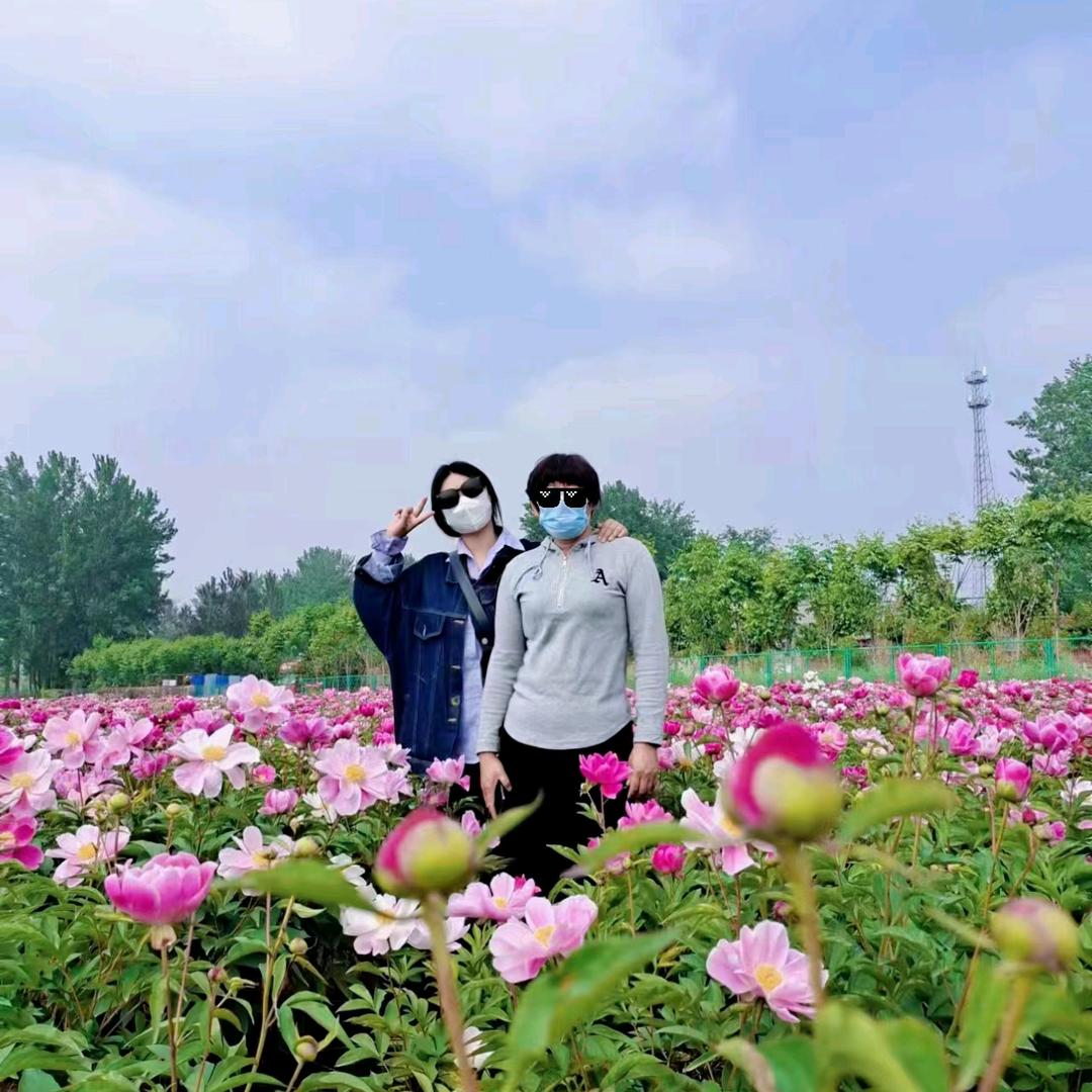 刘丽