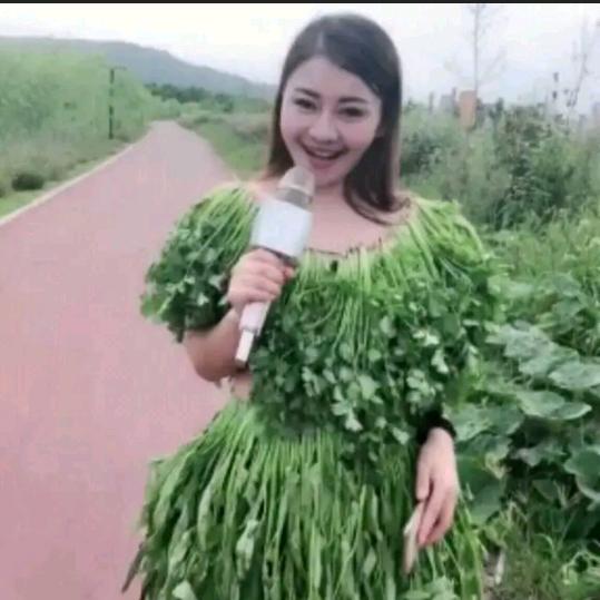 花伤不起