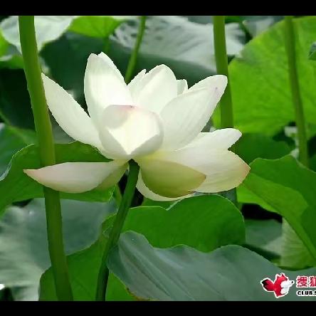 汉山==勿忘5