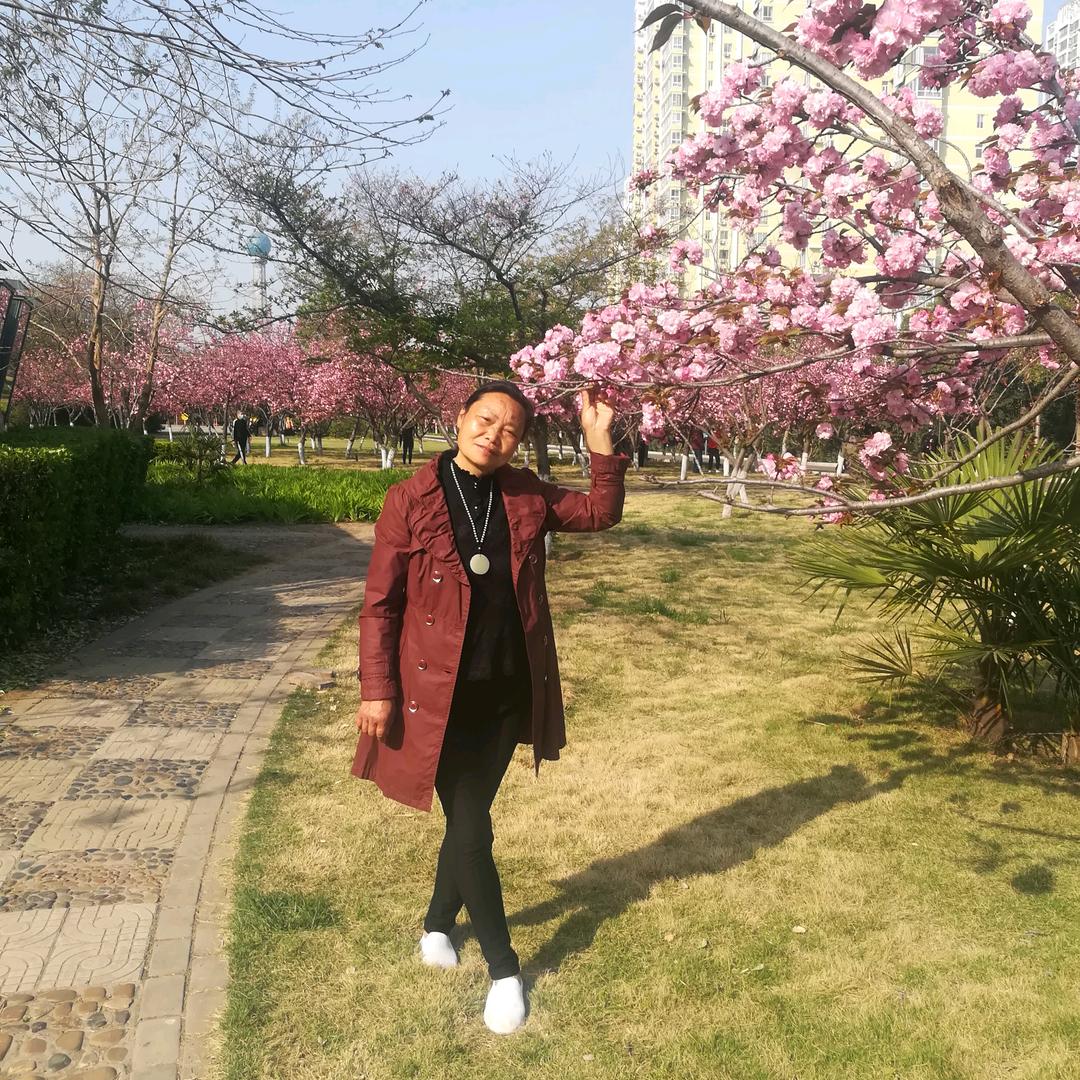 清清荷花快乐每一天