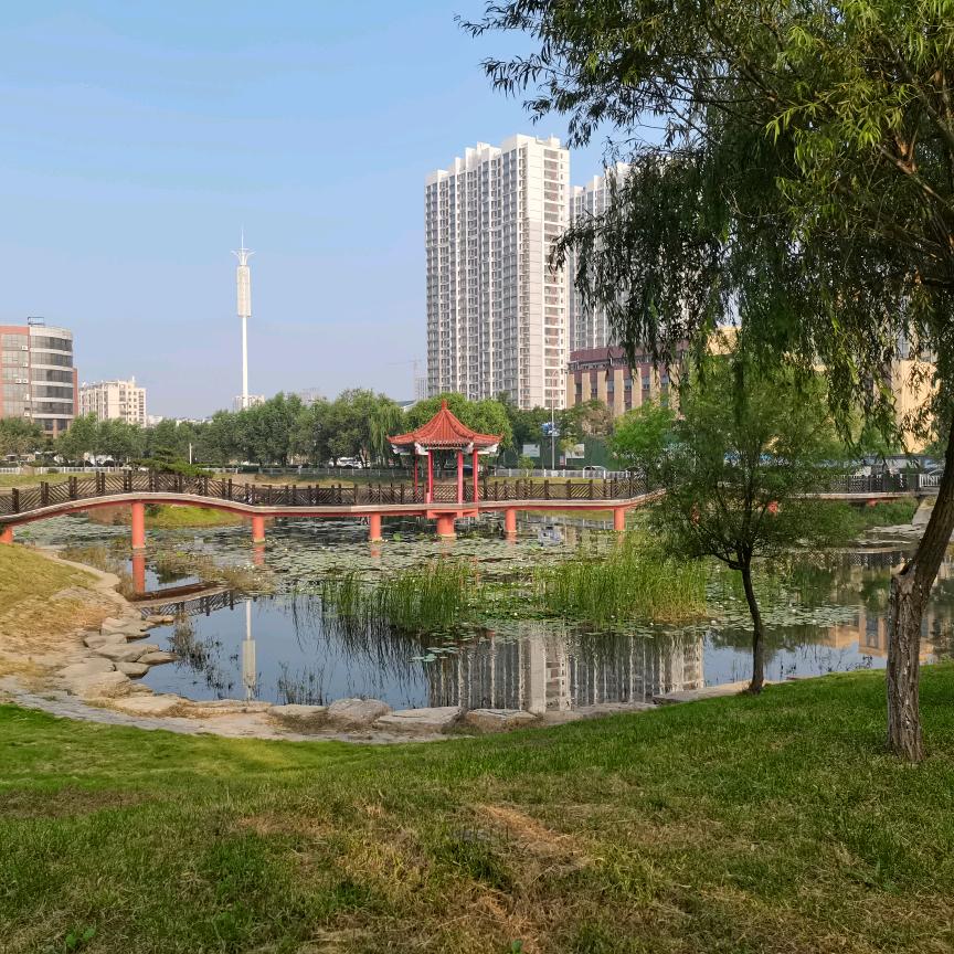 与你同行