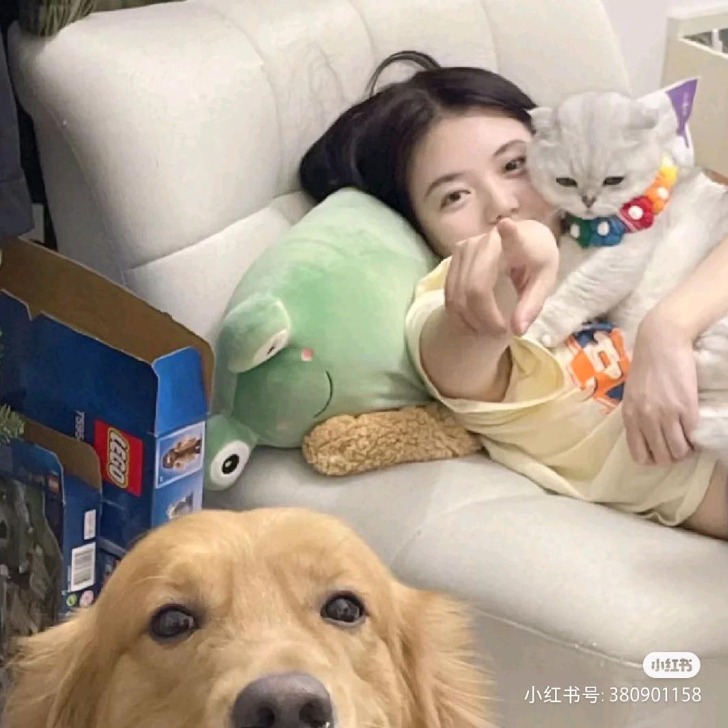 小小楠