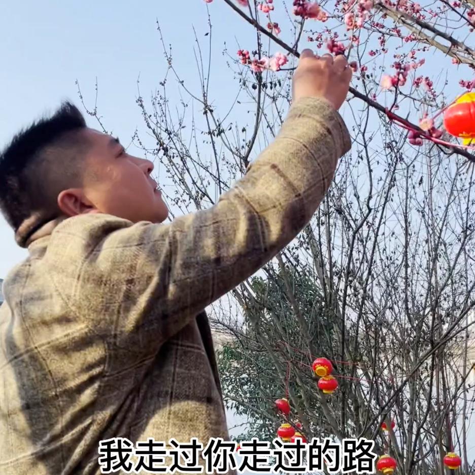 贵哥（记录片）