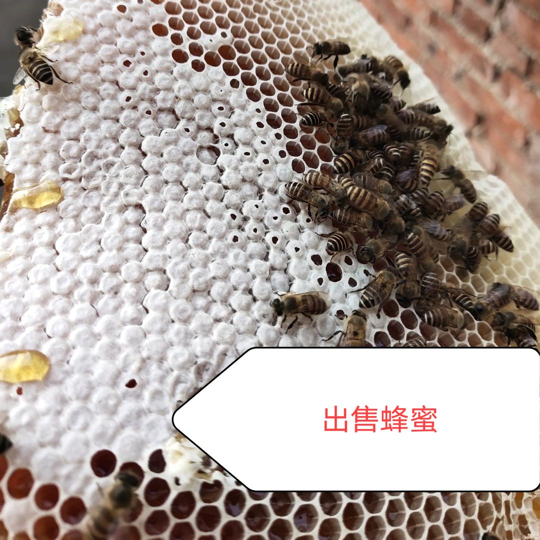 向钱走  向厚看_