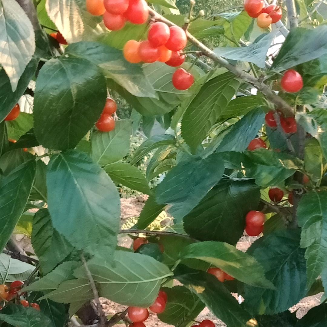 用户7054265084835微笑