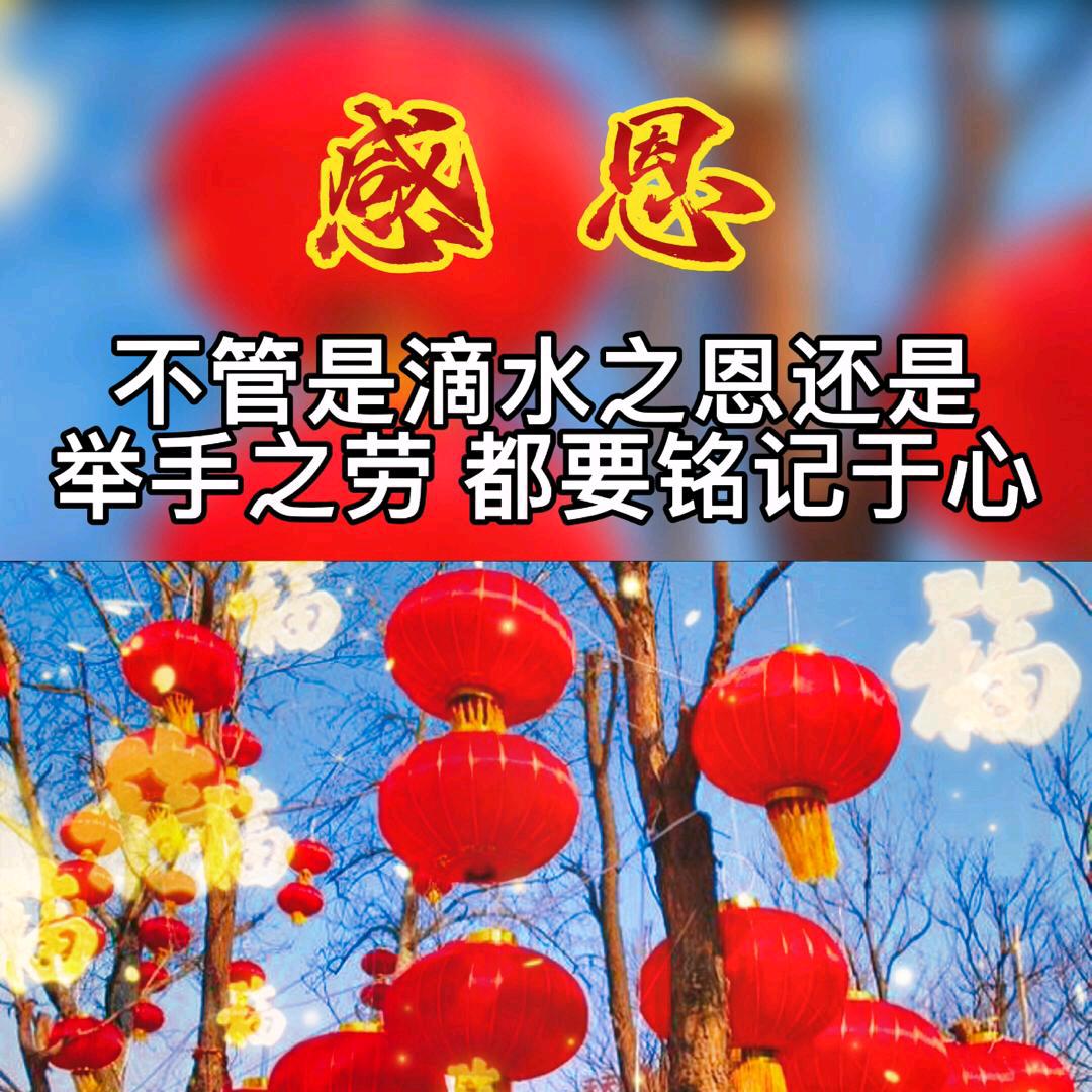 💗四川明哥💗