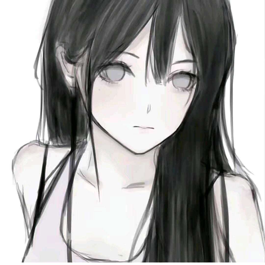 洁鸽