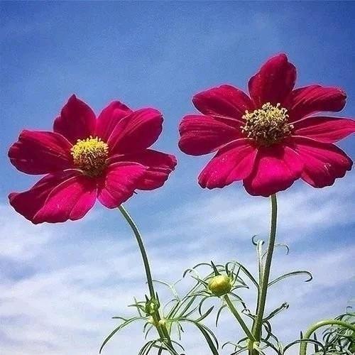 我爱我家