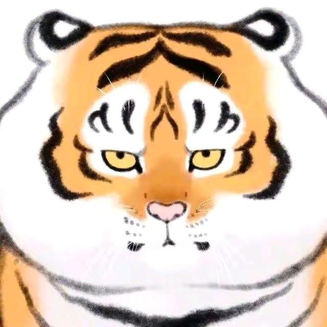 什么档次